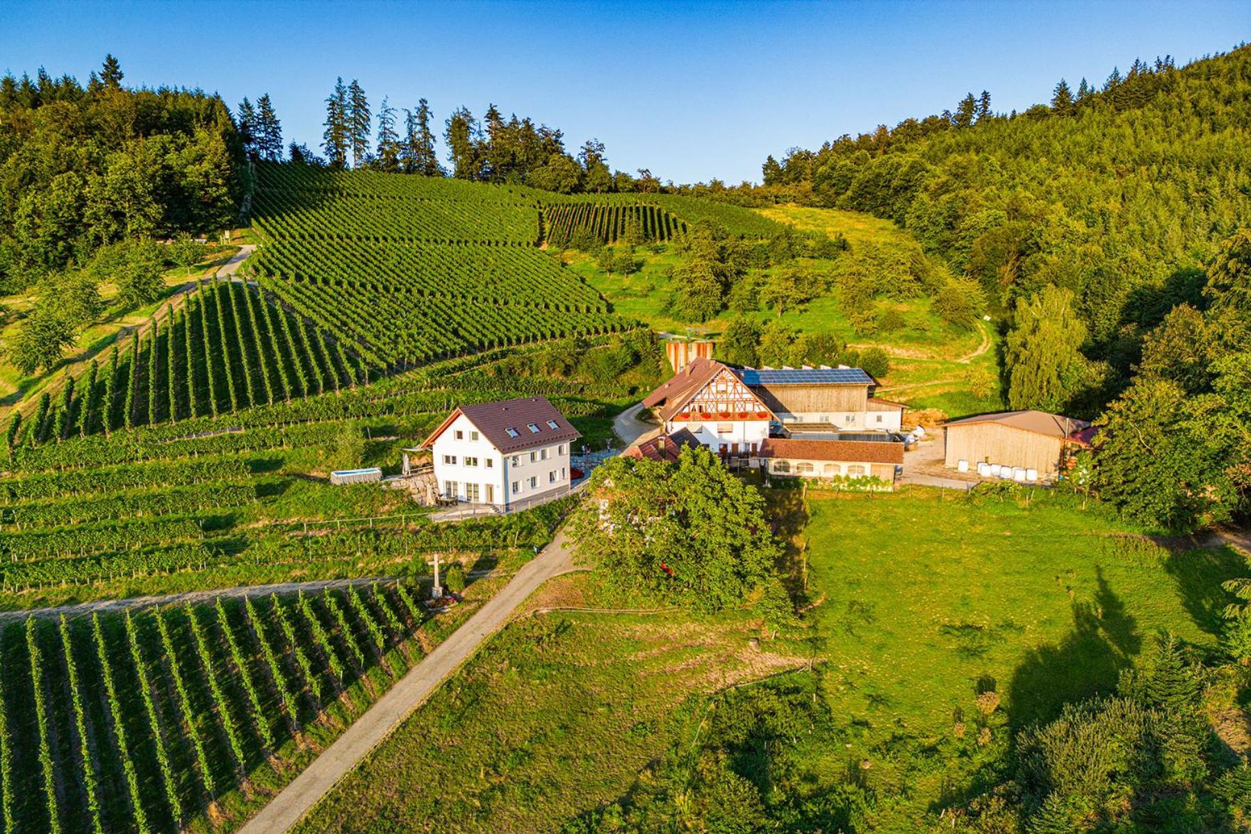 Paradieshof Lautenbach Kültér fotó